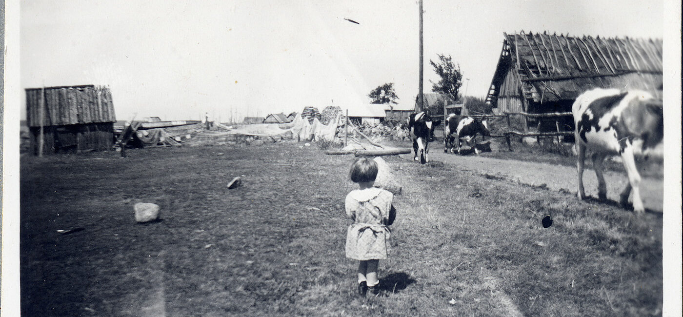 Rohuneeme miljöö kaheksakümne aast eest. Püünsi külaseltsi fotokogu